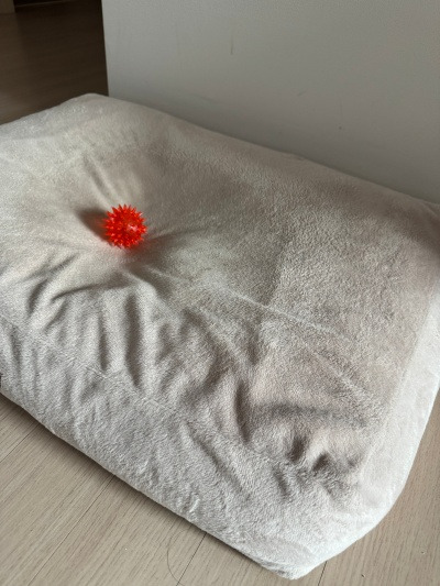 20240305 4.5킬로그램의 존재감.jpg