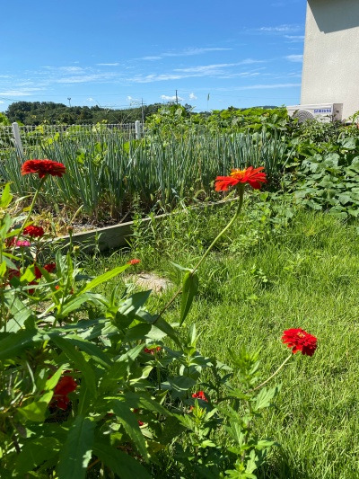 20220923시어머니가 나를 예뻐하시나, 혹시?.jpg