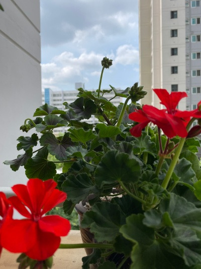 20220611내가 시어머닌 레벨이 된건가.jpg