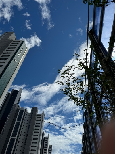 20240924김밥의 상한가는 얼마인가요.jpg