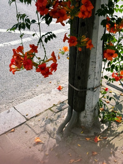 20240818그런 이유도 있었네.jpg