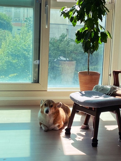 20231002너 친구 없지?.jpg