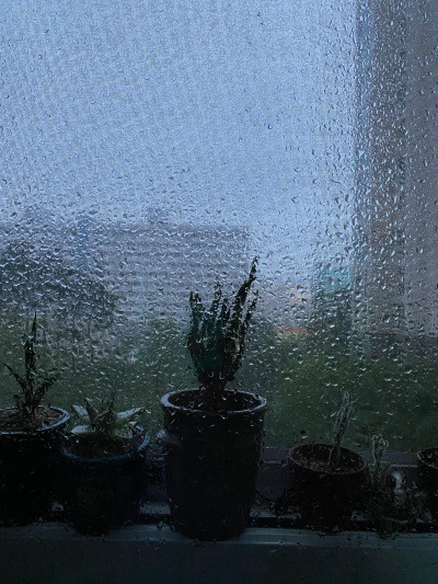 20220801로또에 대한 서로다른 생각.jpg