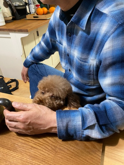 20220318다녀올게 라고 말할 때.jpg