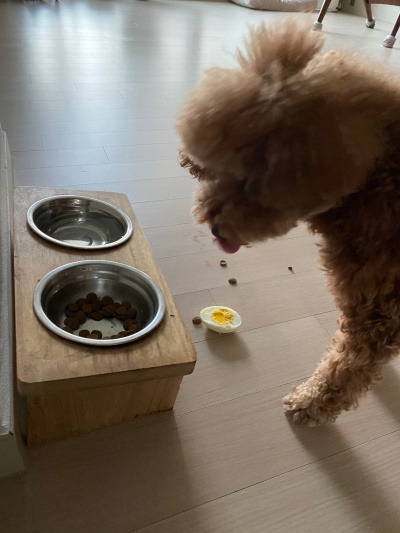 20220519맛있는 건 아껴먹는 편.jpg