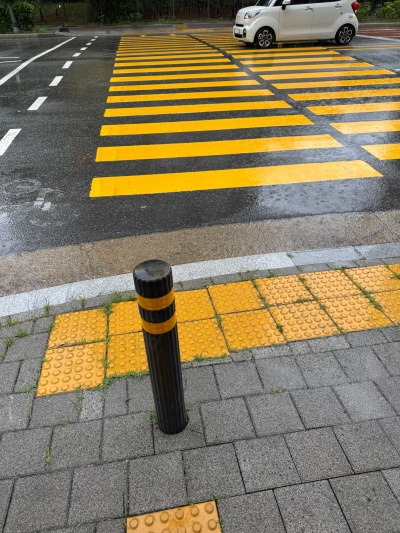 20250822어머나, 나 단골됐나봐.jpg