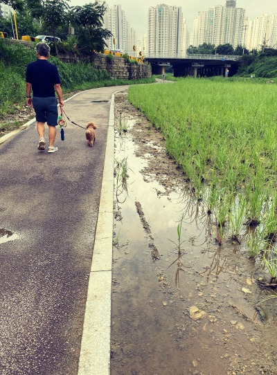 20230801어머니는 요즘 무슨게임 하세요.jpg