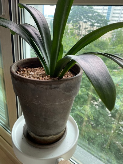 20220814여보라고 불러볼 걸 그랬어.jpg