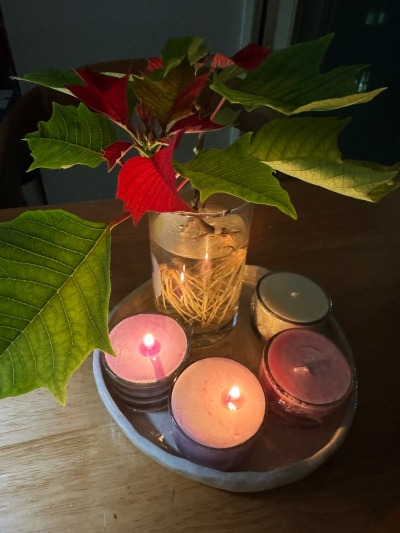 20231214한번쯤 듣고 싶었던 말.jpg