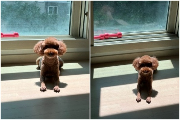 20250826 37년째 다른 그림 찾기.jpg