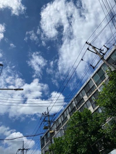 20220607지금 우리에겐 향기가 필요해.jpg