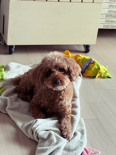 20251026이 이쁜 걸 누구한테 주나.jpg