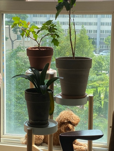 20220818너 AB형이니?.jpg