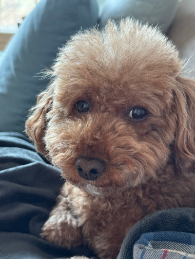 20250428누구 할머니야?.jpg