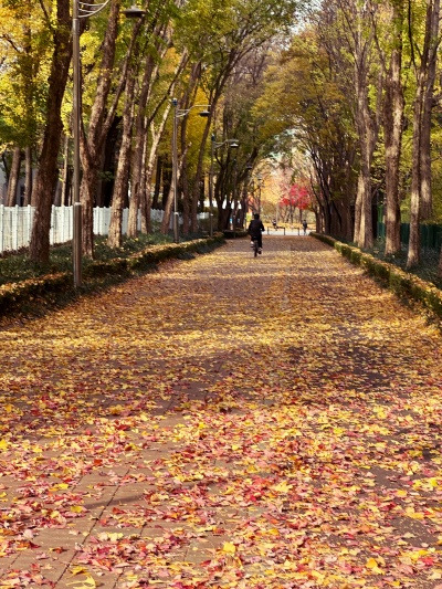 20241126세번째가 뭐였더라?.jpg