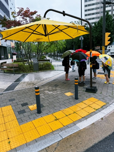 20240717어머니 A형이었어요.jpg