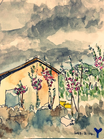 20230214나는 할매돼도 고집부리지 않을게.jpg