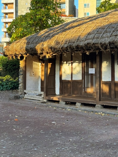 20231125그래도 난 아직 겨울이 좋아.jpg