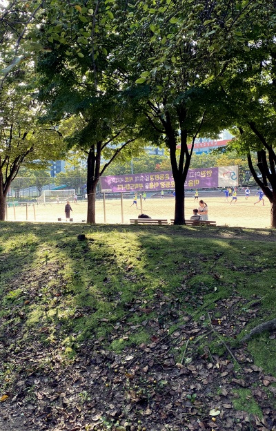 20231009K선생은 이제 무슨 낙으로 사나?.jpg