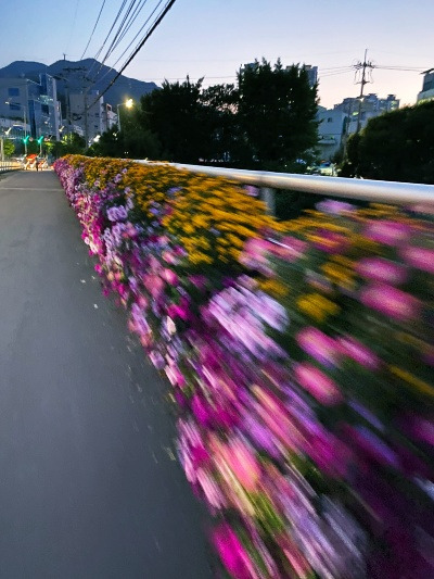 20220617오빠와 삼립크림빵.jpg