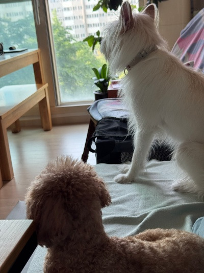 20250603K선생이 머물렀던 자리.jpg