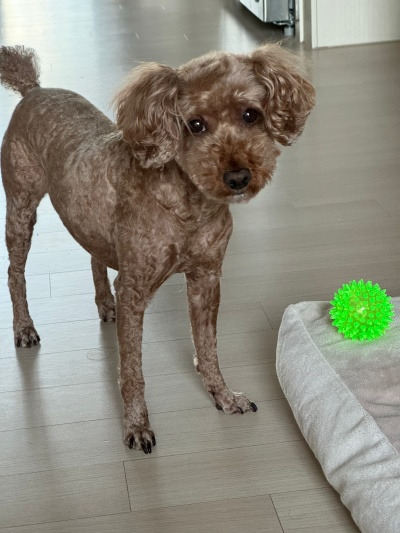 20250613얘도 나름 루틴이 있지 않을까.jpg