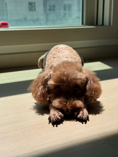 20250815생각과 행동이 따로 노는 마법.jpg