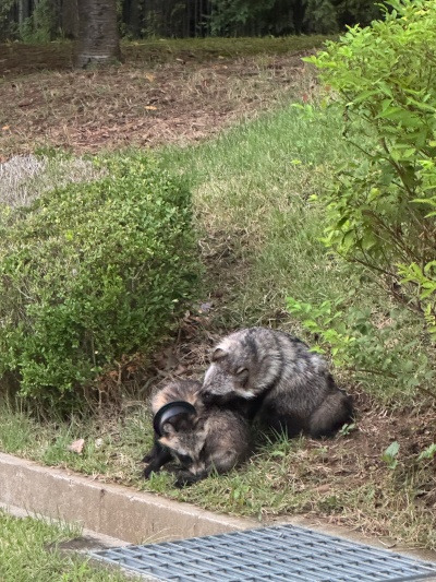 20250913다음엔 상관하지 말아야겠어.jpg