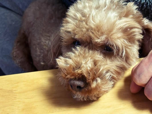 20251205얘도 기분이란 게 있지 않을까?.jpg