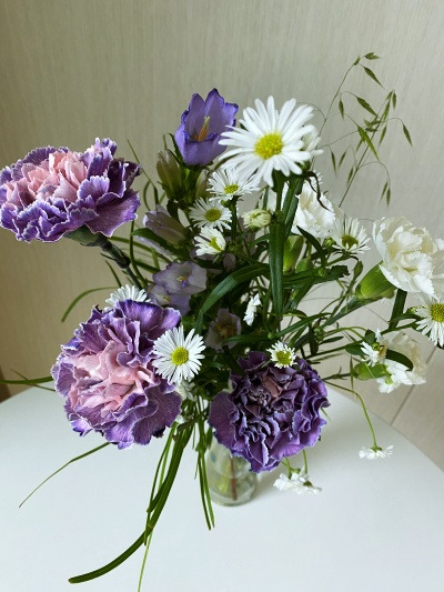 20230507그 많던 베개는 다 어디로 갔을까.jpg