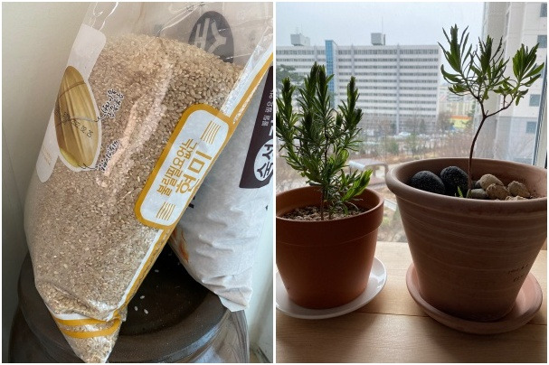 20220321책 팔아서 쌀 샀다1-tile.jpg