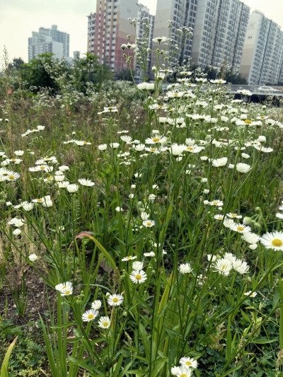 20230624유월은 애매하고 또 특별하고.jpg
