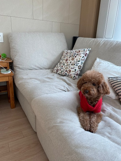 20220205우리도 러그 좀 깔고 살면 안되겠니.jpg