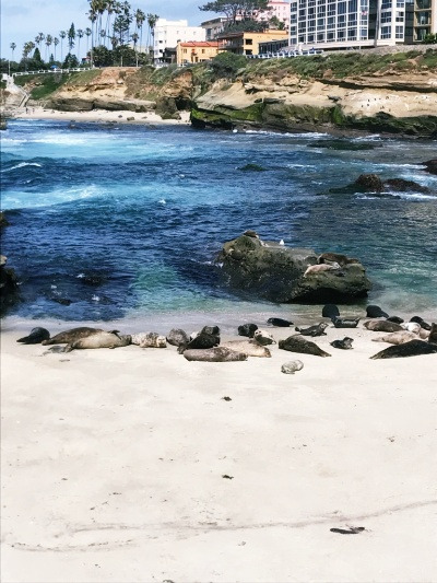 20231010캘리포니아에서 일박.jpg