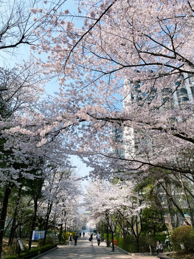 20230404우울할 때면 나는 쇼핑을 해.jpg