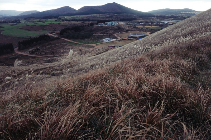 IMG_5089_세 번 째 취소.jpg