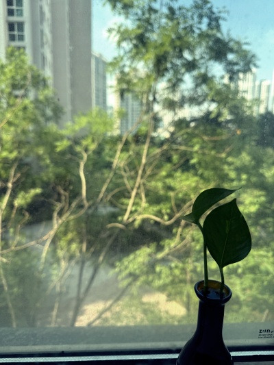 20250725창문을 열어놓으면 생기는 일.jpg