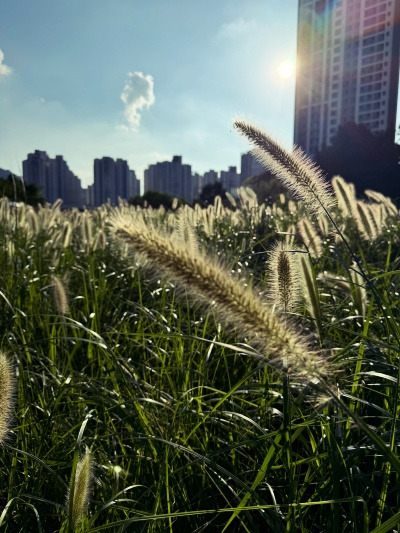 231129K선생은 짬뽕이 좋다고 했는데.jpg