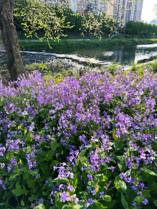 20250501마음먹기 따라 차별이 꼭 나쁜 것만은 아니야.jpg