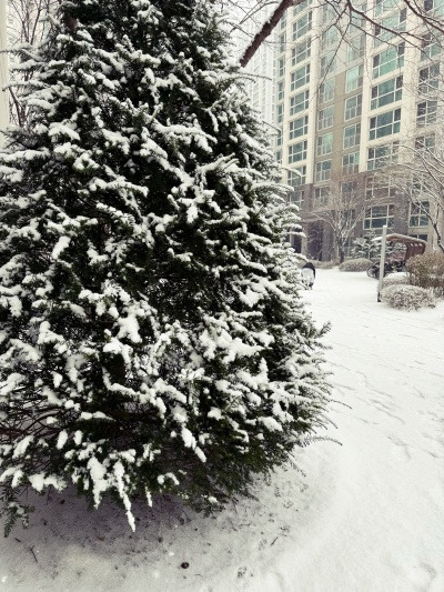 20231225발 달린 모자를 아직 못 본 모양이군.jpg