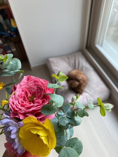 20220406냄새가 있어야 할 곳.jpg