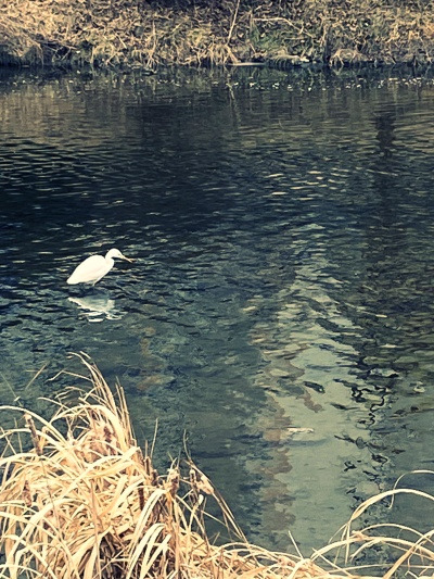 20220120모든기억에서 지워진다면.jpg