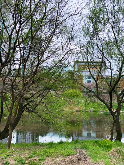 20220414시아버님이 내 이름을 불러주었다.jpg