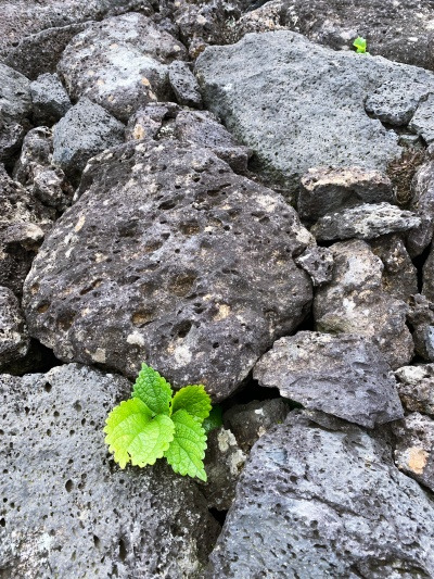 20231005내 편 먹어준 사람.jpg