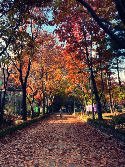 20221116진짜 고마운거 맞아?.jpg