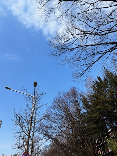 20250218조금 덜 아껴주고 적당히 걱정해도 괜찮은데.jpg