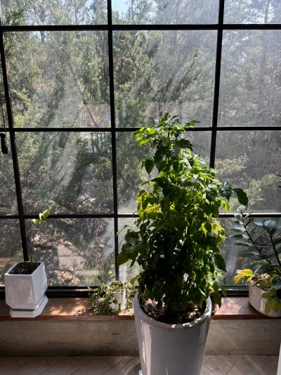 20240324어머니, 너무 많아요.jpg