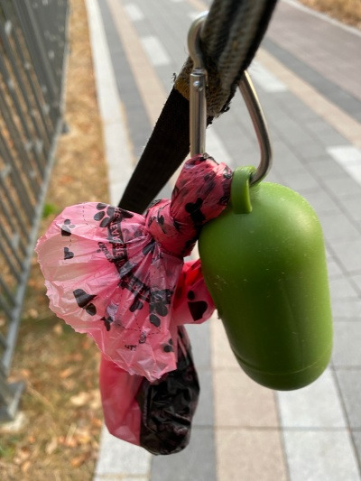 20211209개똥밭에 구르느니.jpg