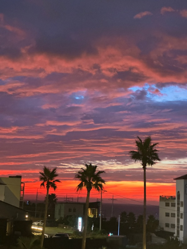 20250530여행을 하거나 여행지 같은 곳에 살거나.jpg