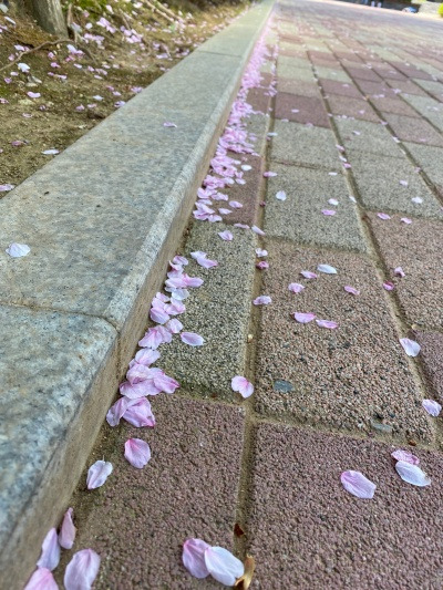 20220416우리엄만 나한테 왜 그러는걸까.jpg